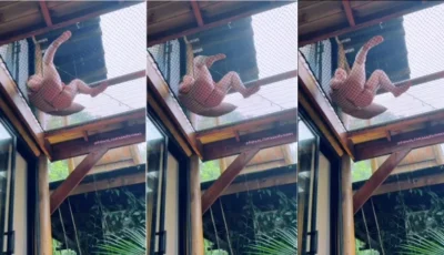 Vídeo da Babi Palomas se divertindo com a pepeca